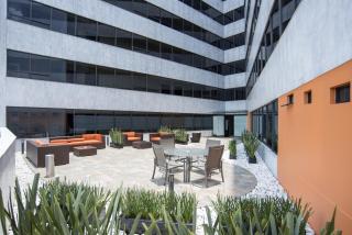 Hotel Brasilia - Città del Messico - 5
