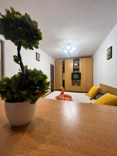 Miha modern and central apartament Malul Mureșului - Arad - 5
