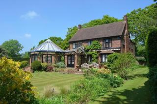 Holmans NEW FOREST - 0