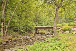 Rustic Roxbury Ski Farmhouse with Trails! - Roxbury - 8