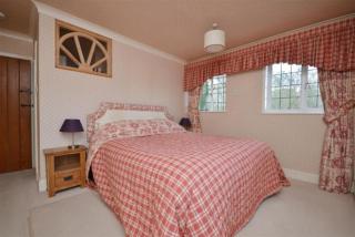 Holmans NEW FOREST - 6