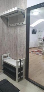 Lenz Studio Predeal - Predeal - 7