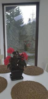 Lenz Studio Predeal - 4