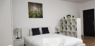 Lenz Studio Predeal - Predeal - 0