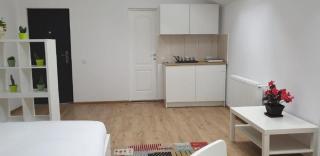 Lenz Studio Predeal - Predeal - 3