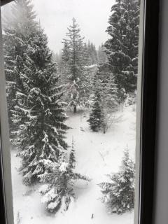 Lenz Studio Predeal - 1