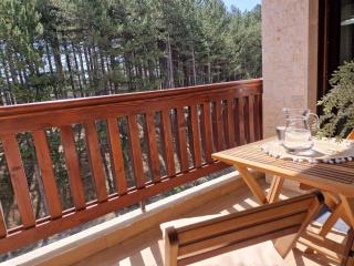 APARTMAN ZLATIBOR Lucija - 8