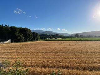 La luna e i falò - 1