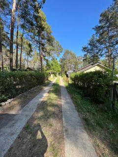 Idyllischer Bungalow am Badesee - Reuthen - 5