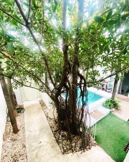 Cozy Tiny Studio AcasadiAlexPlayadelCarmen - Playa del Carmen - 5