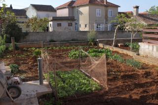 Apartments with a parking space Petrcane, Zadar - 6101 - 3