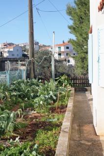 Apartments with parking spaces Slatine, Ciovo - 5999 - Slatine - 2