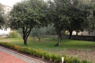 Apartment Vrsi - Mulo 5951b - Vrsi - 3