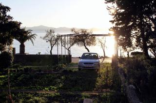 Apartments by the sea Zadar - Diklo - 5925 - 1