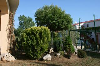 Apartments by the sea Rtina - Miocici, Zadar - 6210 - 4