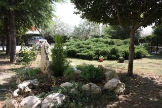 Family friendly seaside apartments Vrsi - Mulo, Zadar - 6155 - 2