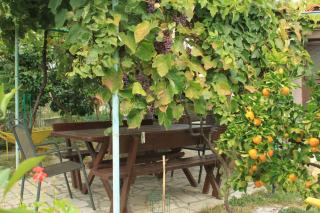 Apartments with a parking space Premantura, Medulin - 7443 - 2