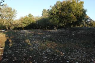 Family friendly house with a parking space Bibici, Central Istria - Sredisnja Istra - 7412 - 3