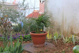 Apartments by the sea Mastrinka, Ciovo - 7582 - 4