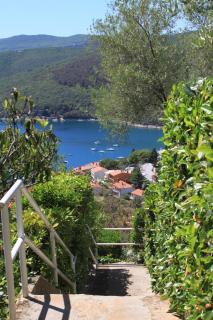 Apartments with a parking space Rabac, Labin - 7622 - Rabac (Porto Albona) - 3