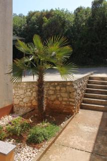 Apartments with a parking space Ravni, Labin - 7613 - 3