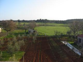 Apartments with parking space Pula - 7420 - 5