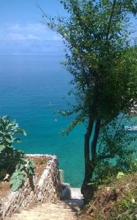Seaside secluded apartments Cove Pobij, Hvar - 7506 - Gdinj - 4