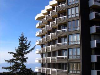 Appartement 2 pièces au pied des pistes, balcon est - FR-1-340-259 - 9