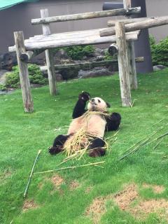 白浜貸別荘2-76 - 2