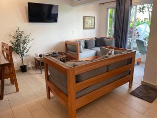Kite Beach Oceanfront Two Bedroom Patio and Garden - Cabarete - 8