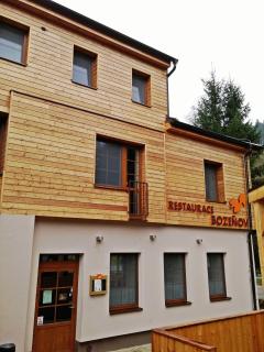 Wellness Hotel Bozeňov - Zábřeh - 6