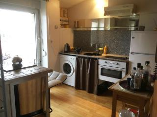 L'Atelier Victoria -Mon Desert & Parc St Marie -55m2 - Nancy - 1