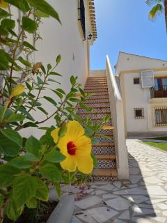 Apartamento Oasis - Playas de Vera - 7