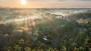 The Kayon Resort - Ubud - 9