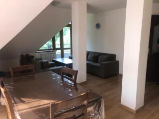COZY APARTMENT FOR REAL REST - Dilijan - 7
