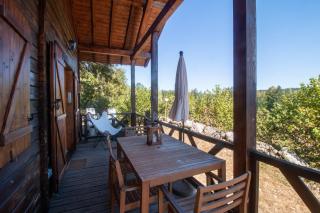 Chalet du Bois Joli - Saint-Laurent-en-Grandvaux - 1
