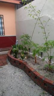 Homestay Tok Abah - 4