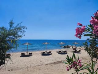 Filokalia Seaside - Nikiti - 9