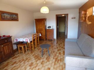 Studio convivial avec cabine, balcon, proche des commodités - Le Grand-Bornand - FR-1-458-117 - Le Grand-Bornand - 9