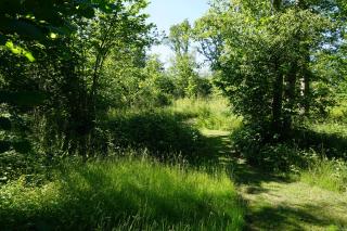 Forest Garden Shovelstrode - East Grinstead - 2