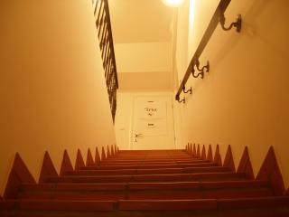 House Trta - Ljubljana - 1