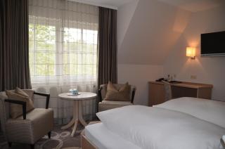 Castell Hotel & Restaurant - Leinsweiler - 1