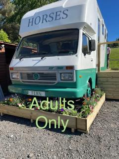 Pant y Rhedyn Glamping and camping site - 8