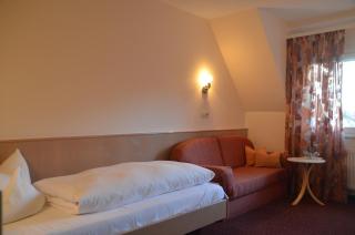 Castell Hotel & Restaurant - Leinsweiler - 4