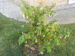 JP Guest House - Aveiro - 4