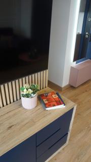 Blue Sunnyside Studio - Central Location - Bucarest - 2
