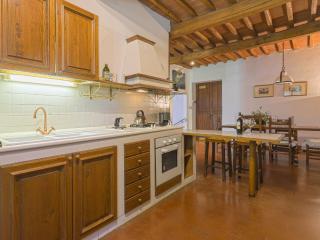 Apartment Cellole - Cellole 1 - CTC150 by Interhome - Castellina in Chianti - 1