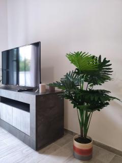 Silver Apartment - 4