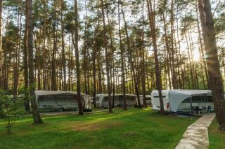 Urlaub im Wohnwagen mitten im Wald - Lütow - 0