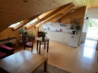 Apartmán Relax - Bělá pod Pradědem - 8
